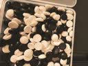 小顽豆跳棋飞行棋多功能五子棋子儿童六一礼物十一合一棋盘桌游棋类大全 实拍图