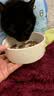 星益生趣（STELLA&CHEWY'S）SC美国进口猫粮RC冻干涂层全价无谷鸡肉4.5kg 实拍图