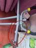 OES卷腹机健腹机美腰仰卧起坐辅助器家用练腹肌神器减肥室内健身器材 实拍图