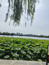 施华蔻（Schwarzkopf）羊绒脂喷雾滋养营养水 柔顺保湿护发润发精华 烫染修护防毛躁营养 【满氛滋养】营养水150ml*2 实拍图