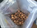 西域美农 无花果干500g 自然原色无花果 可做休闲零食即食泡水滋补煲汤 实拍图