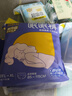 倍舒特眠眠裤夜用裤型卫生巾安睡裤L-XL码 20条110-180斤京东自营安全裤 实拍图