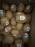 佳沛（zespri）新西兰阳光金果10个装单果重约103-114g 水果礼盒 猕猴桃 实拍图