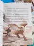 全套4册中国古代神话故事世界英雄传说与山海经古希腊 配套人教版快乐读书吧四年级上册必读正版课外书阅读书籍 小学生版经典书目小学语文上学期中国神话传说 【4册】四年级上册必读正版(京东图书联合定制款) 实拍图