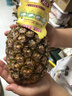 佳农菲律宾进口菠萝2个装 凤梨 单果净重2斤 源头直发 生鲜水果 包邮 实拍图