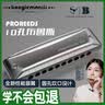 BoogieMAN【园园同款】ProReeds十孔口琴paddy布鲁斯成人儿童初学蓝调10孔 实拍图