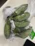 京喜加新鲜小米蕉广东香蕉水果迷你香蕉青皮米蕉粉蕉孕妇翕果11 小米蕉带箱3斤 实拍图