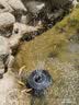 首力太阳能喷泉自动循环增氧机鱼池水缸户外庭院假山景观喷水器小水泵 太阳能-180mm漂浮喷泉 增氧/喷泉二合一 实拍图