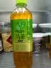 三得利（Suntory）清茶 至淳绿茶饮料 0糖0脂500ml*15瓶 整箱装 实拍图
