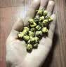 福茗源菊花胎菊金银花茶组合共320g/2罐菊花金银花胎菊泡水喝的凉茶 实拍图