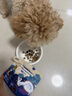 LEGENDSANDY蓝氏烘焙狗粮SSR中小型犬成犬幼犬通用全价犬粮大鹅巴西莓500g 实拍图