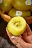 佳沛（zespri）新西兰阳光金奇异果 8个装 特大果单果重约124-146g 水果猕猴桃 实拍图