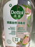 滴露（Dettol）衣物消毒液自然香氛洗衣除菌液 除螨除异味去汗臭48h留香1000ml*1 实拍图