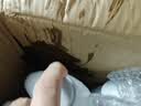埃尔曼爱尔曼Elman酵素洗衣液炫彩除菌去渍天然留香2kg【临期清仓】 实拍图