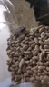素养生活有机白芸豆1斤 小白芸豆 白腰豆 菜豆 饭豆 小粒 五谷杂粮 粗粮 实拍图