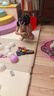 汪汪队立大功（PAW PATROL）汪汪队巡逻车儿童3-6岁玩具回收环卫车男女孩儿童生日礼物 实拍图