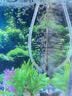 森森鱼缸增氧泵水族箱氧气泵LQE-50家用小型充氧泵3W单孔+全套配件 实拍图