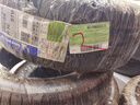 米其林（MICHELIN）汽车轮胎 205/55R16 91V 耐越 ENERGY MILE 适配朗逸/速腾/卡罗拉 实拍图