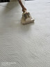 苏泊尔除螨仪TOP1床上高温杀菌吸尘器三合一宠物除毛大吸力双杯尘螨分离除螨床宝SJ-R8 实拍图