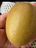 佳沛（zespri）新西兰阳光金奇异果10粒巨大果单果146-175g 猕猴桃水果礼盒 实拍图