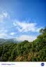 洁柔抽纸 繁花系列3层100抽*20包 可湿水面巾纸 柔韧卫生纸 整箱纸巾 实拍图