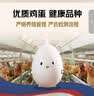 京鲜生 无抗保洁鲜鸡蛋30枚/盒 健康轻食 礼盒送礼 1.5kg/盒 源头直发 实拍图