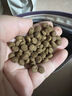 网易严选全价猫粮4.0 成幼猫三文鱼亮毛护肠胃深海鱼虾味10kg【宠物金选】 实拍图