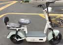 驰小虎电动自行车 吉祥虎新国标电动车电动自行车48V12Ah铅酸电池长续航电瓶车成人代步车电车 绿色 实拍图