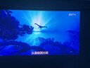极米（XGIMI）Z6X Pro 三色激光旗舰版 1200CVIA 家用投影仪 轻薄智能投影机高清一体式云台2年质保国家补贴 实拍图