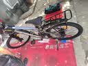 永久自行车成人山地车自行车学生男女铝合金变速公路自行车油碟单车 【钢架/全套轴承】摩天灰 24速 24寸【推荐145-170cm】 实拍图