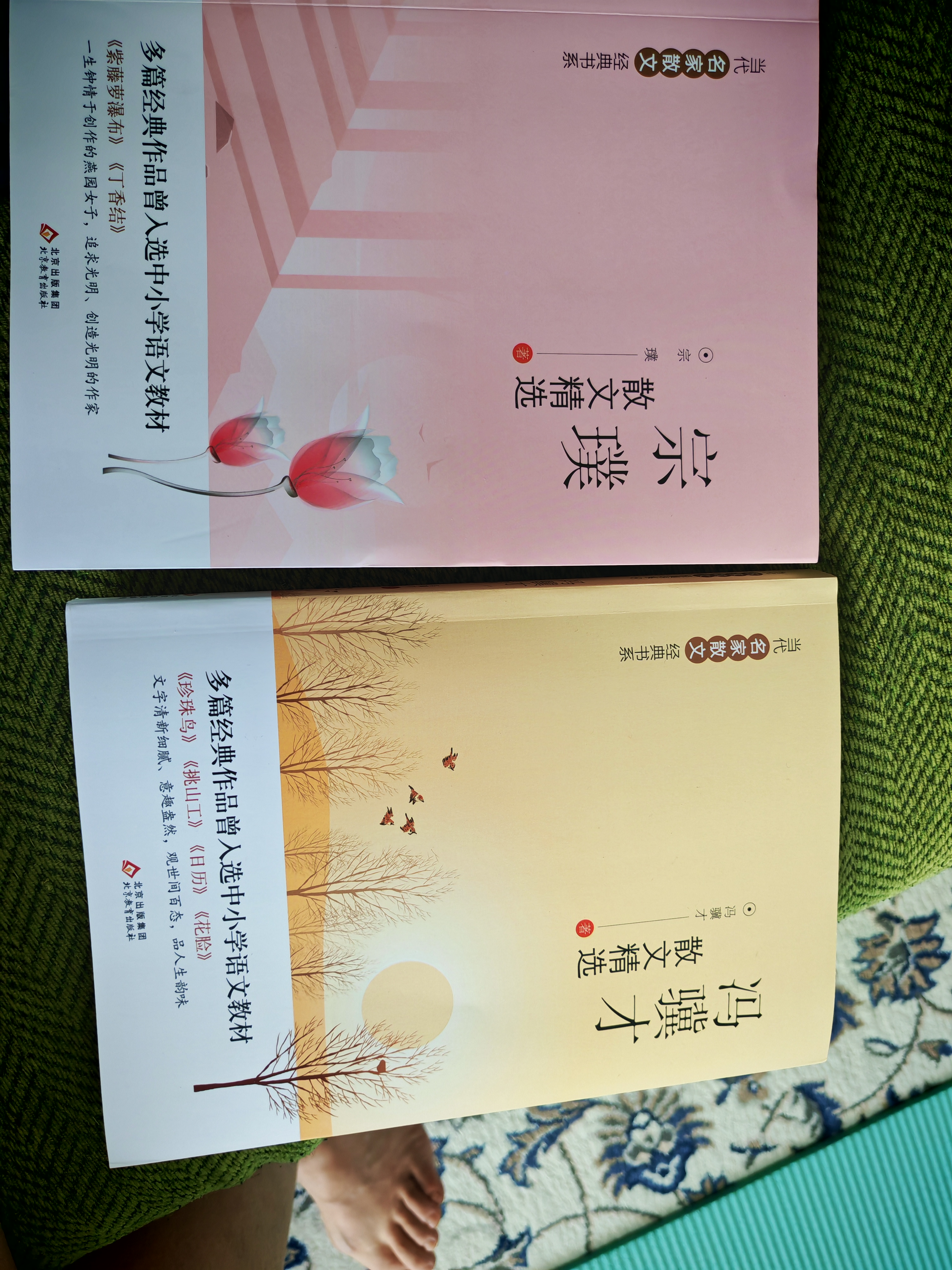 当代名家散文精选（8册）青少版 儿童文学经典书系 冰心散文精选+老舍+巴金+朱自清+季羡林+宗璞+汪曾祺+冯骥才散文精选 中小学生课外阅读书籍 实拍图