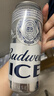 百威冰啤酒500ml*18听整箱装【99%好评】京东自营 实拍图