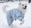 MIKI PAD狗狗雨衣全包四脚防水衣服春秋宠物中大型犬金毛萨摩耶防脏神器 蓝色暴力熊雨衣 8XL（建议背长72cm以内，建议体重80-100斤） 实拍图
