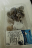 【抽肠】冰鲜青虾仁100g（13-19粒） 实拍图