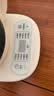 小熊（Bear）迷你养生壶 养生壶煮茶壶煮茶器电热水壶加厚玻璃烧水壶 办公室便携恒温烧水 YSH-D08T8 0.8L 【热销新品】 实拍图