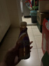 雀巢（Nestle）即饮咖啡 丝滑拿铁摩卡口味 咖啡饮料 268ml*15瓶 实拍图