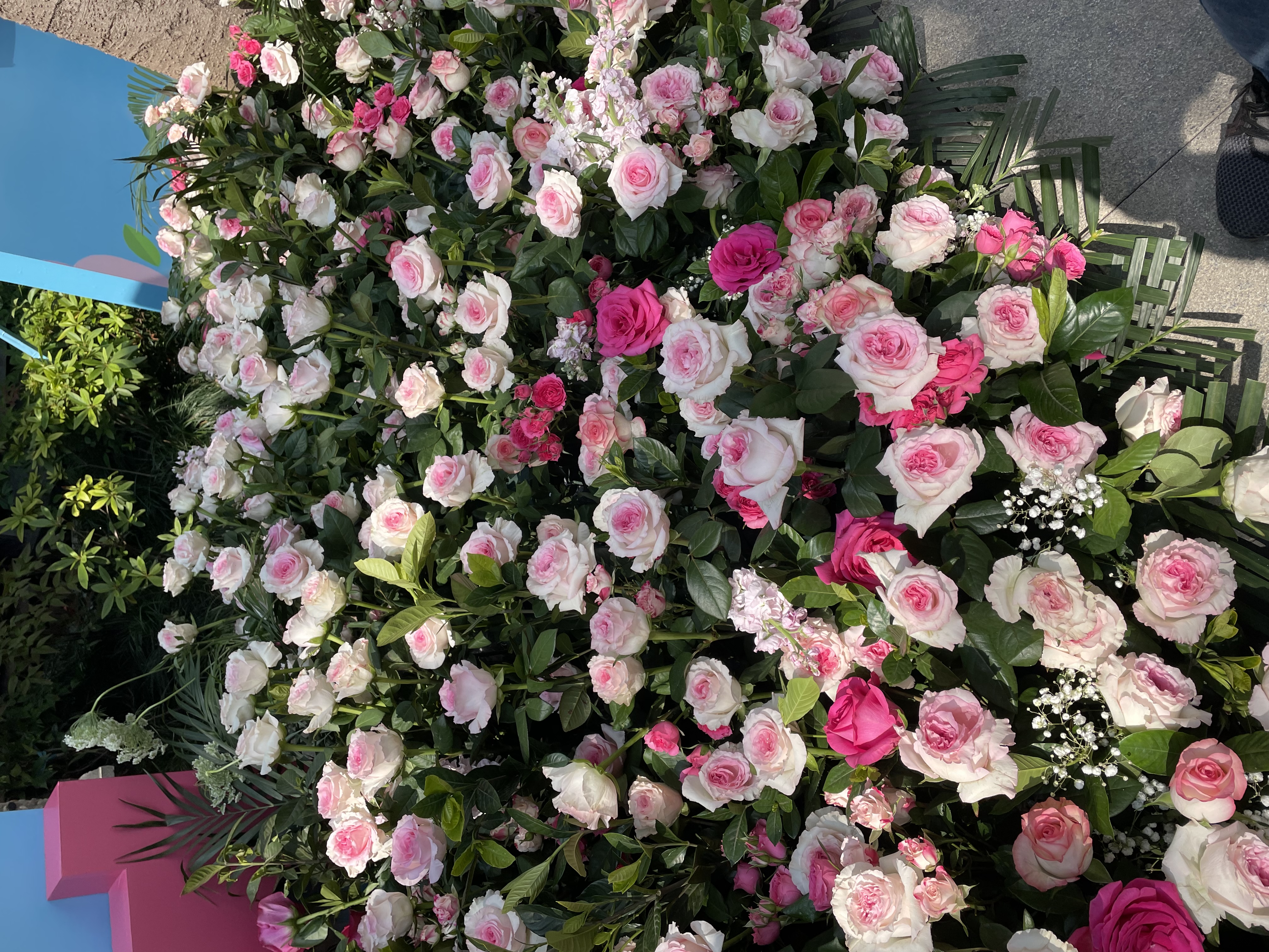 珍视明小黄鸭定制款B12洗眼液洗眼水眼部护理液温和型500ml 实拍图