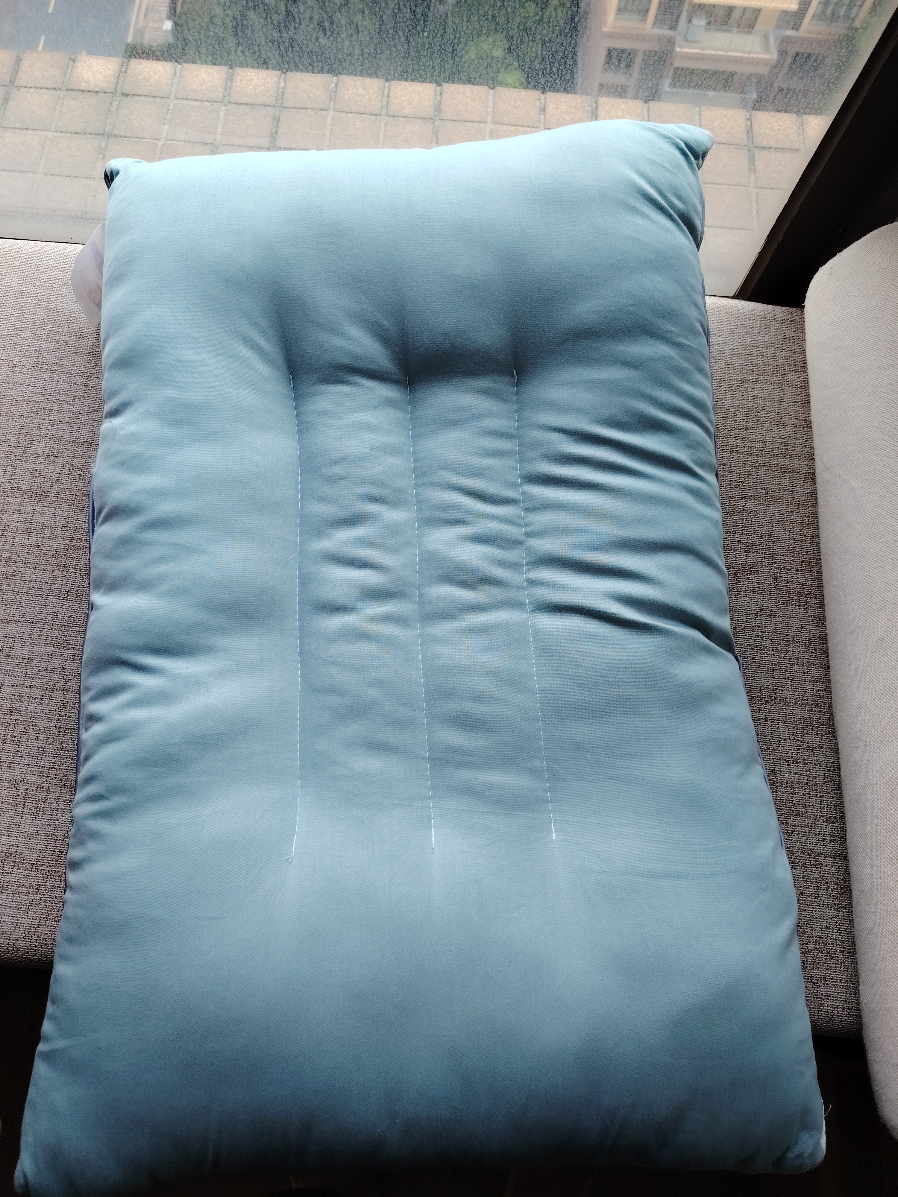 艾薇决明子磁石硬枕头枕芯护颈椎助睡眠 一只装 水绿 45*74cm 实拍图