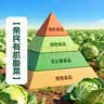 温氏供港农养大公鸡2.8斤 100天莫氏鸡煲同款食材 冷冻食品 走地鸡 实拍图