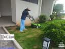 TOMSPOWER电动割草机手推式小型家用草坪修剪机托马斯园林大功率打除草神器 2700W割草功率+25米电线+3把刀片 实拍图