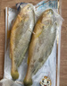 三都港 冷冻黄花鱼净重600g/2条装 宁德大黄鱼 海鱼 生鲜鱼类 海鲜水产 实拍图