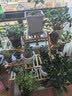丝竹阁花架置物架阳台落地式创意客厅多肉实木多层网红花盆靠墙绿萝架子 A字原色9层 实拍图