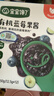 宝宝馋了有机蓝莓果酱150g热门商品无添加糖儿童吐司面包送宝宝婴儿辅食谱 实拍图