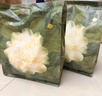 babycare爆款山茶花一次性内裤女孕产妇日抛出差旅行 L码30条【安全灭菌】 实拍图