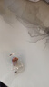 三只松鼠陈皮梅有葡萄100g蜜饯果干果脯梅子酸甜儿童休闲零食小吃 实拍图