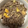诚实一口N33 PLUS冻干犬狗粮成幼犬高鲜肉33种全面营养治挑食鸡肉鱼油2kg 实拍图