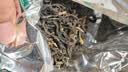 福茗源真四大红茶500g2026新茶金骏眉正山小种滇红祁门红茶叶礼盒口粮茶 实拍图