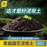 史丹利泥炭土营养土养花通用型专用育苗进口整包土壤种植土花土5斤 实拍图