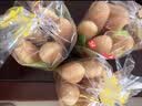 嘉顿手指面包新鲜早餐面包糕点茶点120g*3袋【源头直发】 实拍图