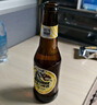 斑马精酿小麦白啤酒 265ml*24瓶 全麦精酿白啤 国产精酿整箱京东自营 实拍图